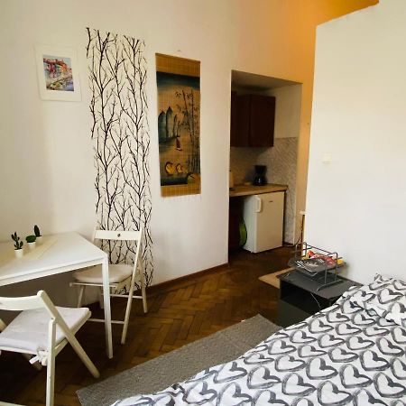 Historic Apartment Krakow Bagian luar foto