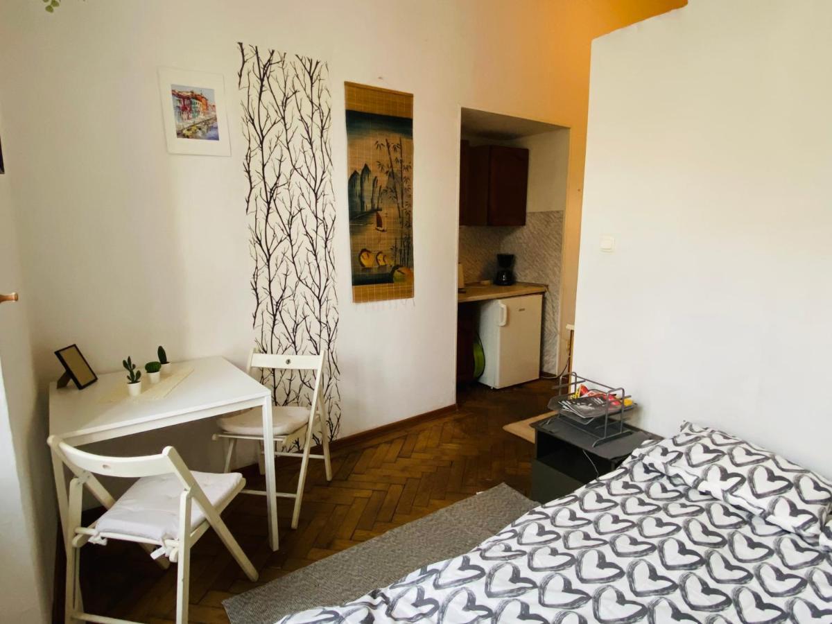 Historic Apartment Krakow Bagian luar foto